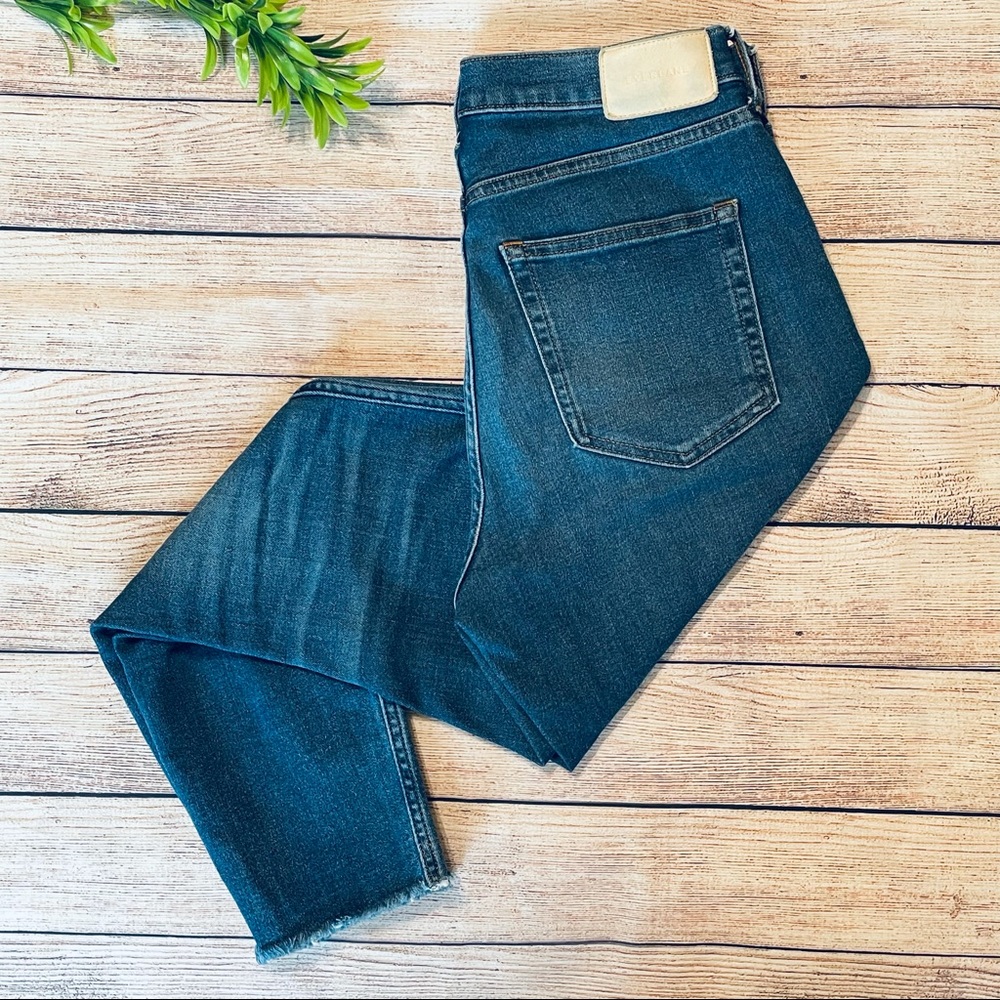 Everlane Authentic Stretch High Rise Skinny Button Fly 28 Ankle
